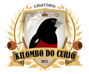Criatório Kilombo do Curió - Praia Clássico - Ibiá/MG